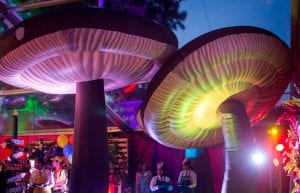huge 4m inflatable mushrooms with uplighting alice in wonderland theme