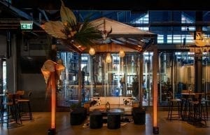Wild West modern event styling theme with themed props, wooden cabana, parcan lights, wooden light globes, native florals, sofa, cushions, velvet ottomans, hi bar tables and stools, hurricane lanterns, cow print rug and coffee table for hire. Photo taken at Camfield Perth for Christmas Party.