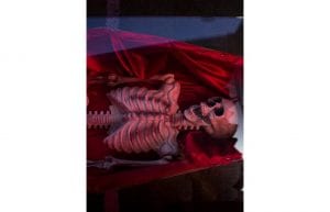 Rocky Horror event theme with coffin coffee table and skeleton props for hire.