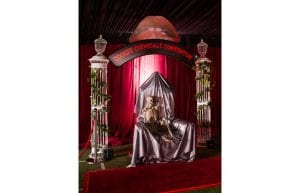Rocky Horror event theme with red drapes, wire arch entry feature, red and gold velvet throne, skeletons and custom signage for hire.