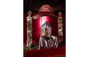 Rocky Horror event theme with red drapes, wire arch entry feature, red and gold velvet throne, skeletons and custom signage for hire.