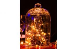 Steam Punk event theme with cloche dome centerpieces and styling props for hire.