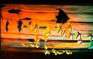 Under The Sea event theme with Jetty Entry feature, assorted fish underneath for hire.