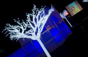 Winter Wonderland event theme with led light up trees for hire.